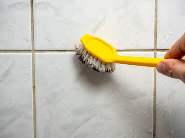 Office Mold Removal Services in Pilot Mountain, NC