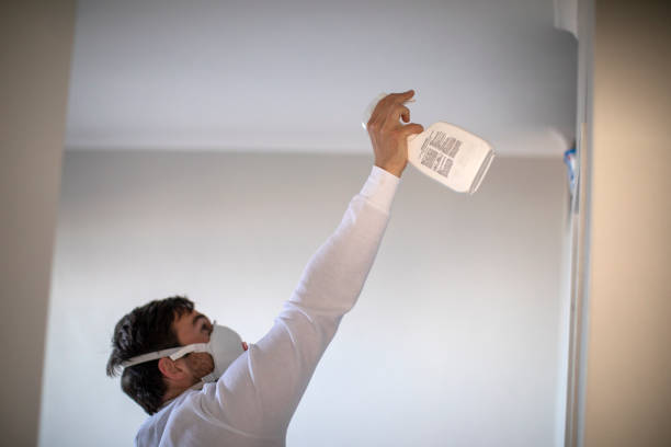 Best Professional Mold Removal  in Pilot Mountain, NC
