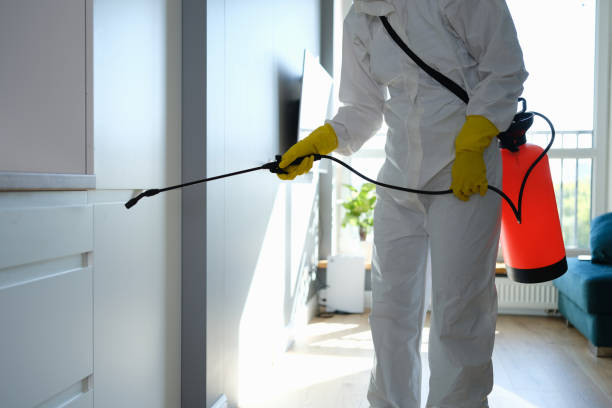 Best Residential Mold Removal  in Pilot Mountain, NC