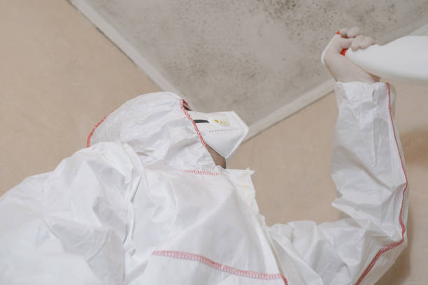 Best Mold Testing  in Pilot Mountain, NC